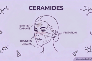 Ceramides in skincare